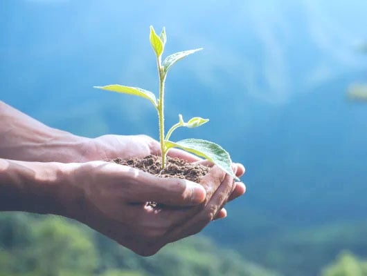L'entreprise Systec : Être conscient de l'environnement