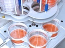 Systec Mediafill : Dosage efficace des milieux et empilage automatique des boîtes de Pétri